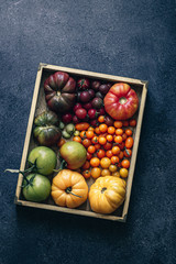 Heirloom rainbow tomatoes in a wooden box on a dark surface