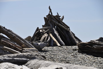 pile of wood on the beach