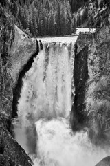 Obrazy na Szkle  Zamknij się veiw Lower Yellowstone Falls w Parku Narodowym Yellowstone, Wyoming, USA.