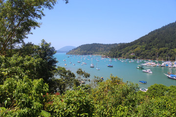 Naklejka premium Guaecá