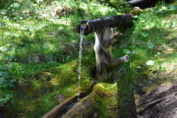 Quellwasser Trinkwasser
