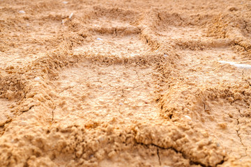 Curious shapes with a pattern created by drying the mud of a riverbed.