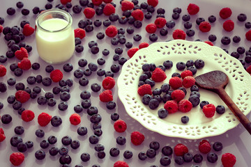 Seasonal fruits, blueberry and raspberry
