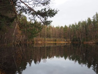 reflection of trees in water in Autumn in a Park