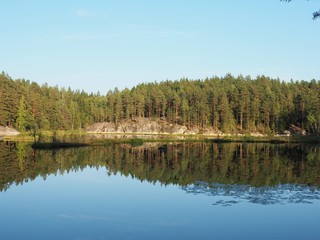 Fototapeta na wymiar lake in forest with the reflexion on the trees in Spring with a blue sky