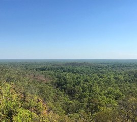 Obraz premium panoramic view of the Forest in Australia national Park Kakadu