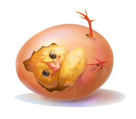 cracked egg with a little chick inside © annwaterru