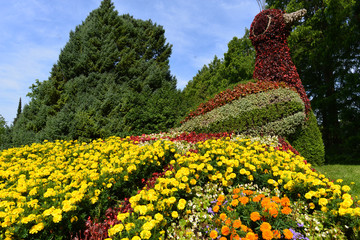 Blumeninsel Mainau 