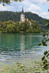 Lake Bled Slovenia and water lilies. Beautiful mountain lakewith small Church on island with castle on cliff and european alps in the background.