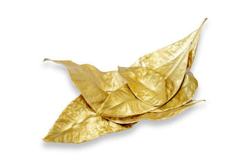 Fototapeta premium Golden dry laurel leaves isolated on white background. Flat lay, top view minimal concept. Copy space. Autumn fall vibes. Christmas decor design element. Botany herbarium