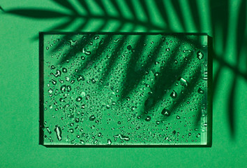 Concept green summer frame , a glass border with water drops and a shadow of palm tree. Copy space
