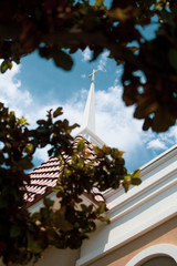 Church steeple through trees