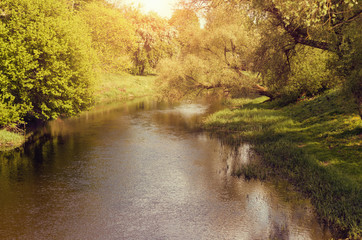 Beautiful peaceful scenery with a river, forest and sunlight.