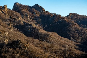 Landscape with mountain forest. Bare trees and no snow in North Caucasus region