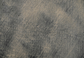 Wet sand on beachin flat shadeless light, wet and hard.