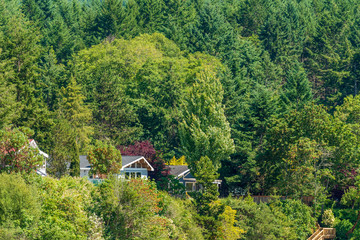 Houses in suburb at Summer in the north America. Luxury houses with nice waterview.