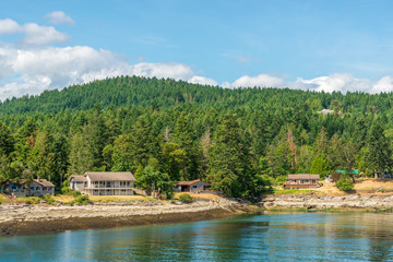 Fototapeta premium Houses in suburb at Summer in the north America. Luxury houses with nice waterview.