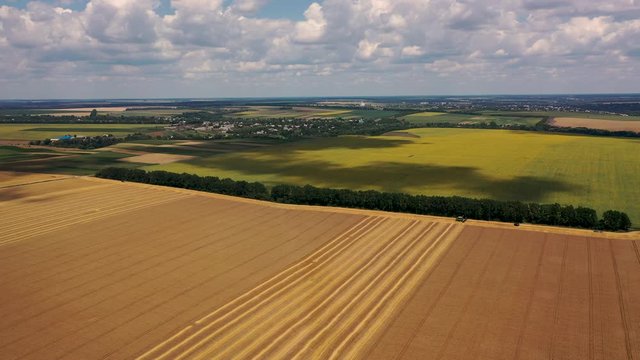 4k Aerial video view from a height, fields with ripe gold-colored wheat