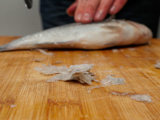 Descaling fish, Pile of scale in foreground, selective focus. Sea bream on a wooden cutting board. Fishmonger at work.