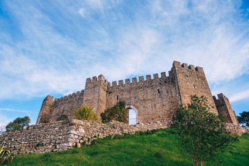 Fototapeta na wymiar beautiful medieval fortress on a hill. the stone walls.