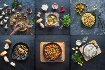 Food collage with different views of mushroom dishes