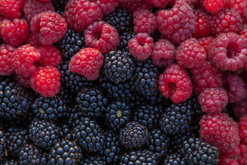 Background Image - Ripe Blackberries and Raspberries