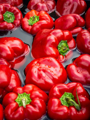 Fresh red sweet peppers washed in water, top view
