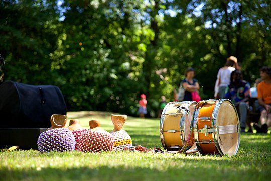 Percussion nature parc rythme musique