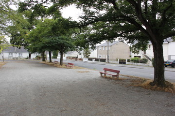 Fototapeta na wymiar Promenade à la campagne