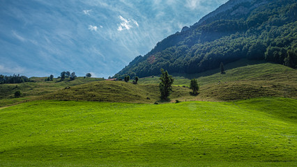 Fototapeta na wymiar Typical view in the Swiss Alps - amazing Switzerland