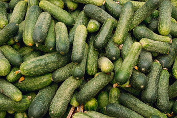 cucumbers background