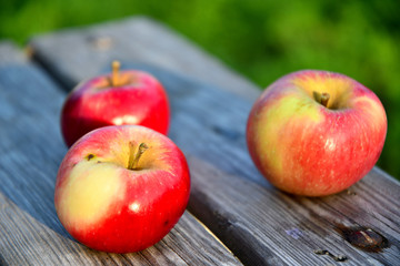 Ripe red apples in the garden in the morning, on old boards.