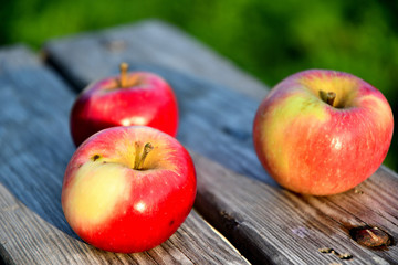 Ripe red apples in the garden in the morning, on old boards.