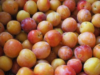 prune fruit food background