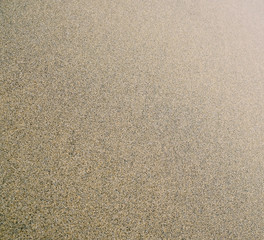 Wet sand on beachin flat shadeless light, wet and hard.