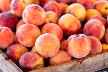 Fototapeta na wymiar Yellow Summer Peaches