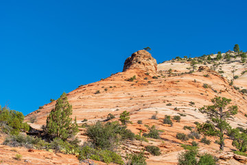 Fototapeta na wymiar Zion National Park low angle landscape of a steep orange and white stone hillside against the sky