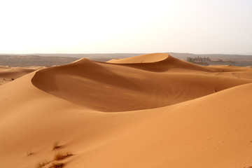 Fototapeta na wymiar Sand dunes in the Sahara desert in Morocco.