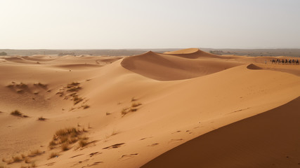 Fototapeta na wymiar Camel tour through sand dunes in the Sahara Desert in Morocco.