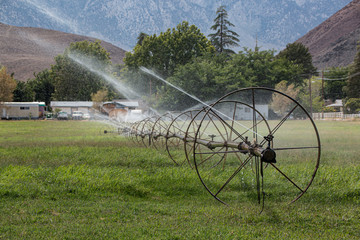 Field Sprinklers
