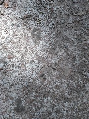 Rough Cement Texture