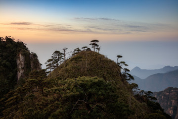 Tree silhouettes during sunrise, Vibrant red and orange sky, mountains and horizon. Sanqing Mountain in Jiangxi Province, China. Mist and Fog in the distance, pine tree silhouettes.