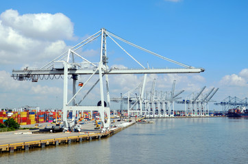 Naklejka premium Container terminal in the port of Savannah, Georgia.