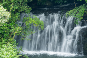 Fototapeta premium Wodospad Minamiei z zielonymi drzewami