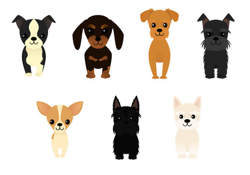 Set of seven different dogs