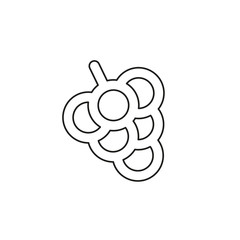 vector grapes - nature illustration, fruit symbol