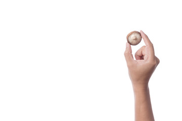 Hand holding fresh shiitake mushroom