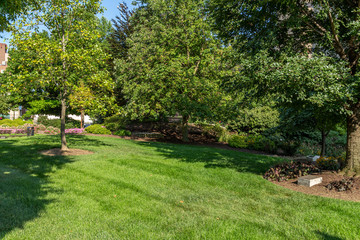 Park and Lawn with Trees and Shrubs