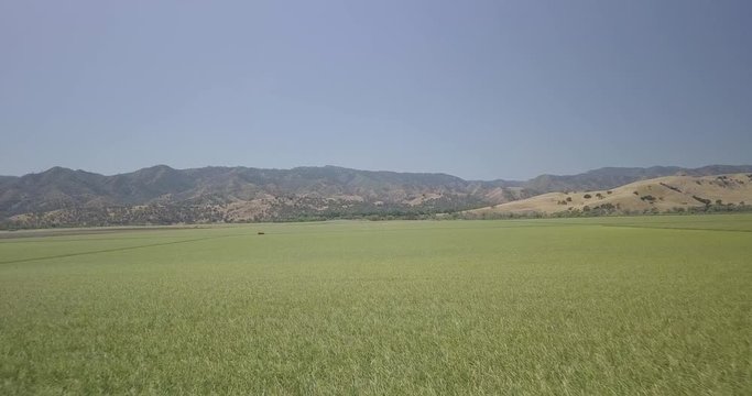 Rural farmland, aerial footage of sprawling green crops and golden hills and blue sky in the background, in Central California in the Summer