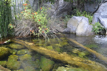 Clear Lake